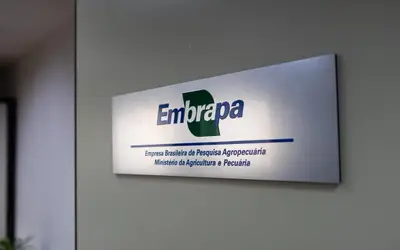 Embrapa inaugura escritório em São Paulo (SP) e firma parceria com Grupo Carrefour Brasil