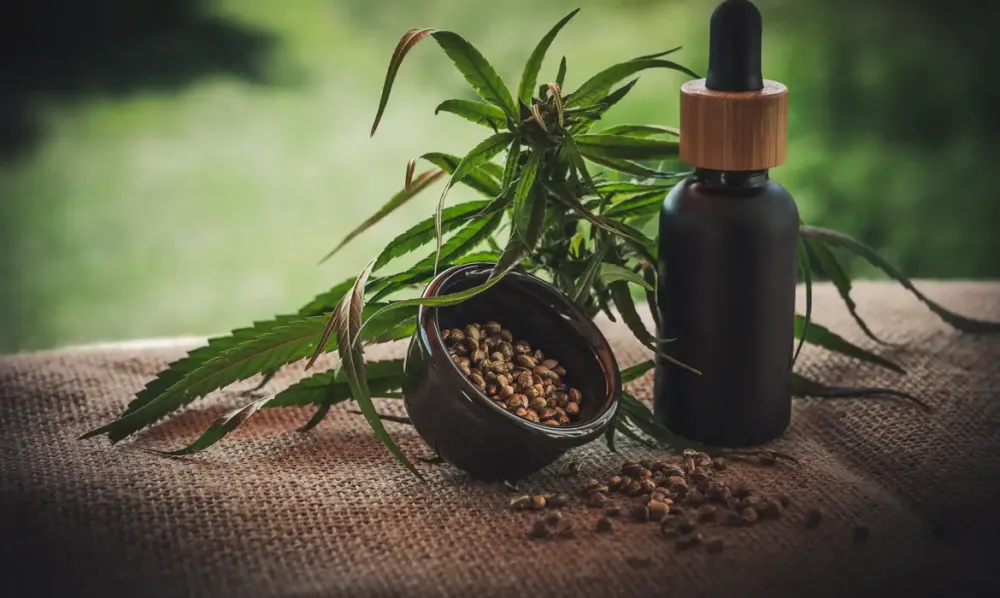 Foto: CBD-Infos-com/ Pixabay