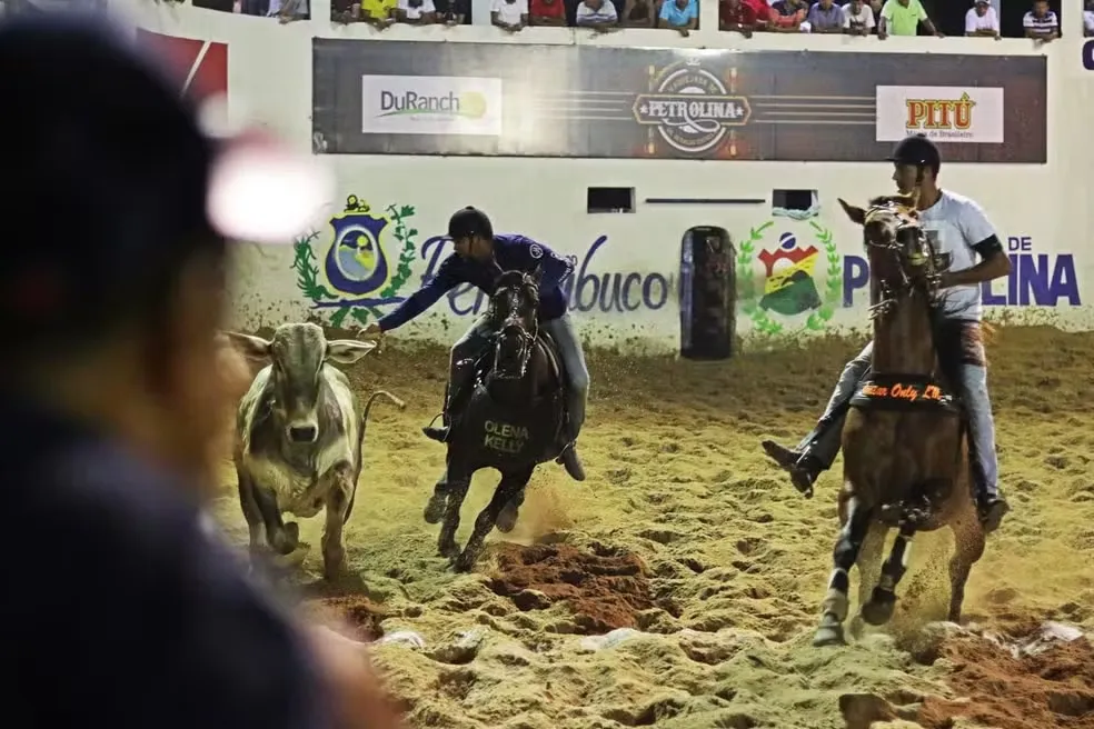 Vaquejada de Petrolina inicia a 41ª edição na terça (26); programação envolve disputas e shows musicais